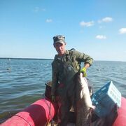 ���������� �����������, ���� ������� ������, 43 ����, ������������ ��� c�������� ���������