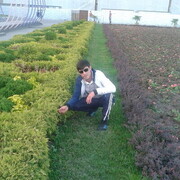 ���������� ������-��-����, ���� ������� �����, 31 ���, ������������ ��� ������, ����� � ���������, c�������� ���������