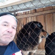 ���������� �������, ���� ������� ����, 61 ���, ������������ ��� ����� � ���������, c�������� ���������