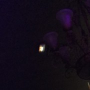 ���������� ���������, ���� ������� ������, 36 ���, ������������ ��� ������, ����� � ���������, c�������� ���������