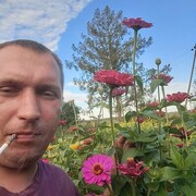  ,  , 36