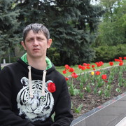   ,   , 41 ,  