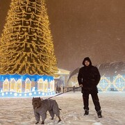 ���������� ��������, ���� ������� �������, 32 ����, ������������ 