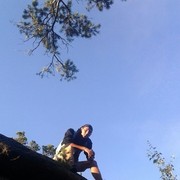  ,   , 31 ,  