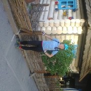 ���������� ������������, ���� ������� ���������, 37 ���, ������������ ��� ����� � ���������, c�������� ���������