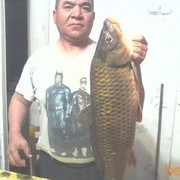  ,   , 59 ,   