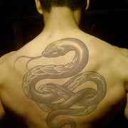 ���������� �����, ���� ������� �����, 32 ����, ������������ ��� ������, ����� � ���������, c�������� ���������, ���������