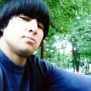 ���������� �����������, ���� ������� SHAMIL, 31 ���, ������������ ��� ������, ����� � ���������, c�������� ���������, ���������