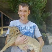 ���������� ����, ���� ������� �������, 38 ���, ������������ ��� ������