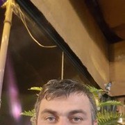  ,   Famil, 41 ,   ,   , c 