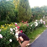  ,   , 36 ,   c , 