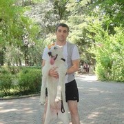 ���������� �������, ���� ������� Giorgi, 40 ���, ������������ ��� ������, ����� � ���������, c�������� ���������