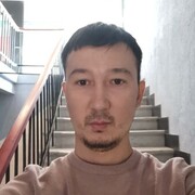 ���������� ������, ���� ������� ����, 36 ���, ������������ ��� ������, ����� � ���������, c�������� ���������, ���������