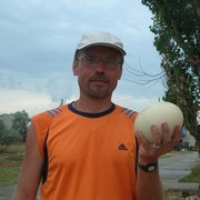  ,   Alex, 60 ,   ,   , c 