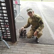  -,   , 38 ,   ,   , c , 