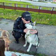 ���������� �����, ���� ������� ����, 27 ���, ������������ ��� ������, ����� � ���������