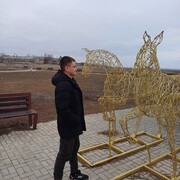 ���������� ���������, ���� ������� �����, 31 ���, ������������ 