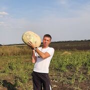 ���������� �������, ���� ������� ������, 36 ���, ������������ ��� ������, ����� � ���������