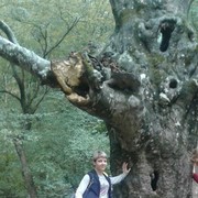 ���������� ������-��-����, ���� ������� Angel, 45 ���, ������������ ��� ������, ����� � ���������, c�������� ���������