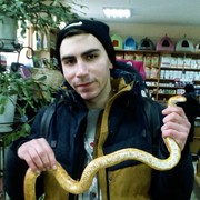 ���������� ����������, ���� ������� ������, 31 ���, ������������ ��� ������, ����� � ���������, c�������� ���������