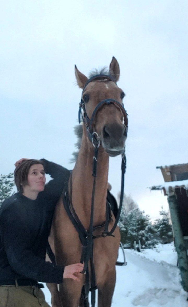 ���� 45298861 ����� ����, 24 ����, ���� ���������� � ������