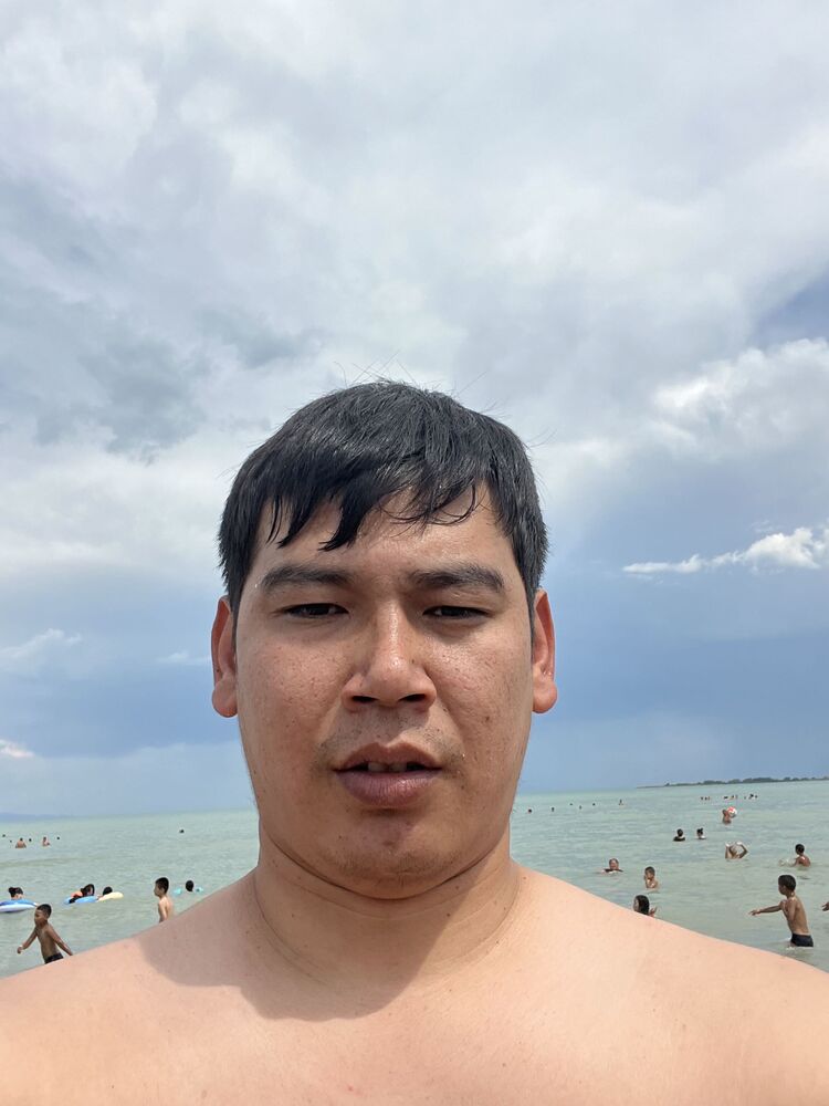  34102751  , 2 ,    