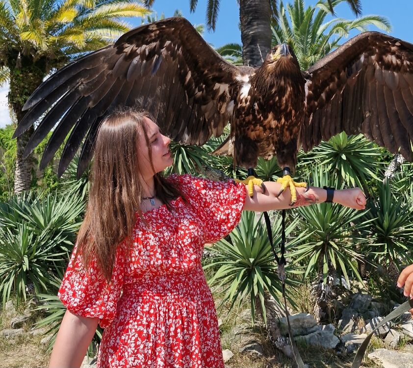 ���� 56515541 ������� �����, 26 ���, ���� ���������� � �����