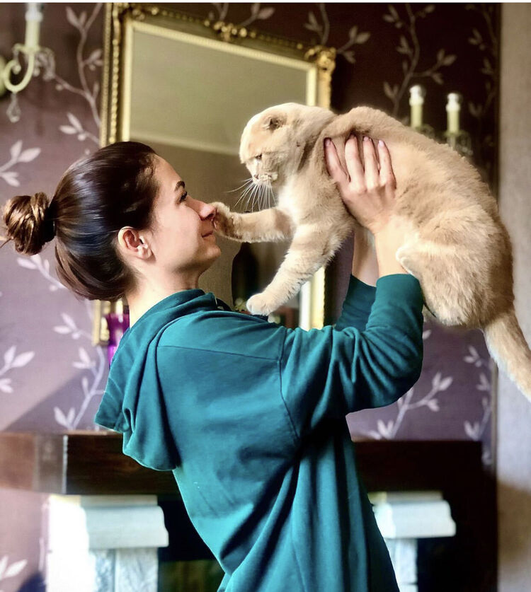 ���� 36071011 ������� ����, 33 ����, ���� ���������� � ������