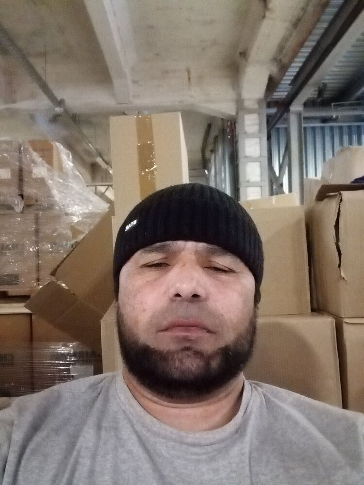  42811551  , 45 ,    -