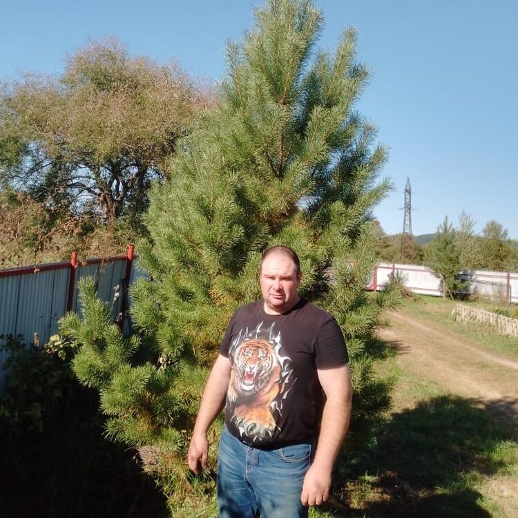  ,   , 41 ,   c 