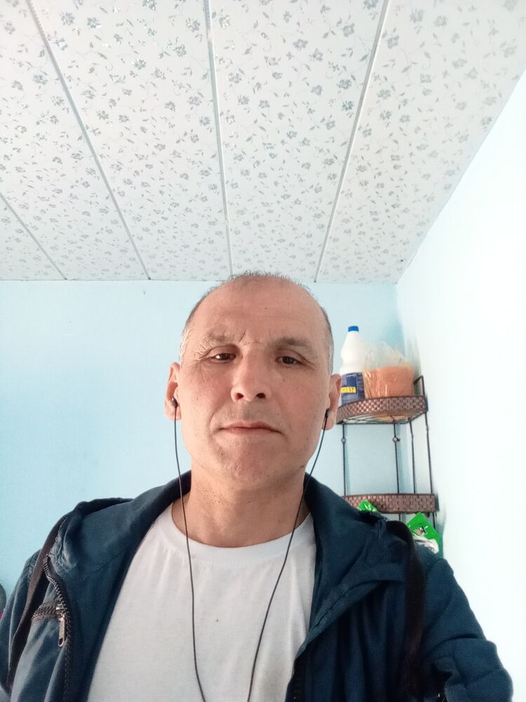  42342381  , 50 ,    -