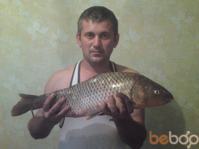 ���������� ������������, ���� ������� �������, 47 ���, ������������ ��� ������