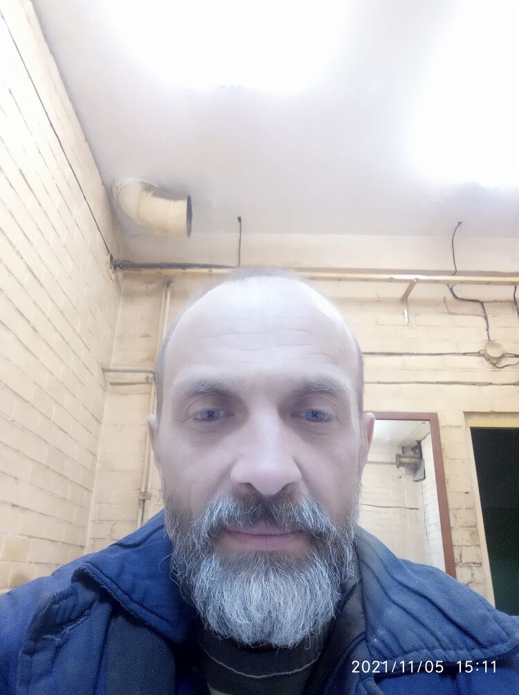  29499851  , 49 ,    -