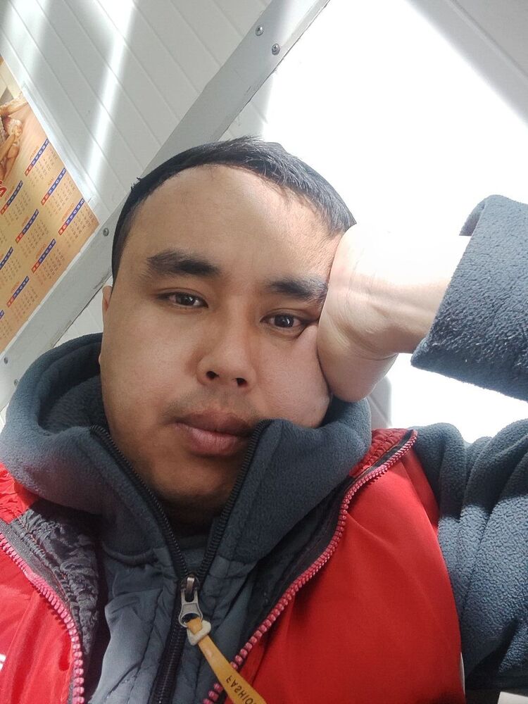  50307151  , 31 ,    
