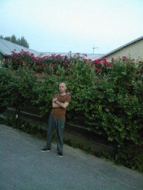  12158111  Ilya, 39 ,    