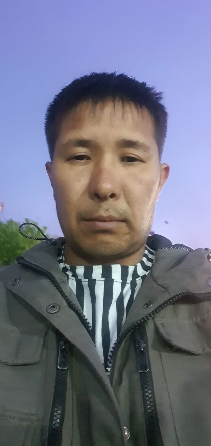  50990661  , 41 ,    