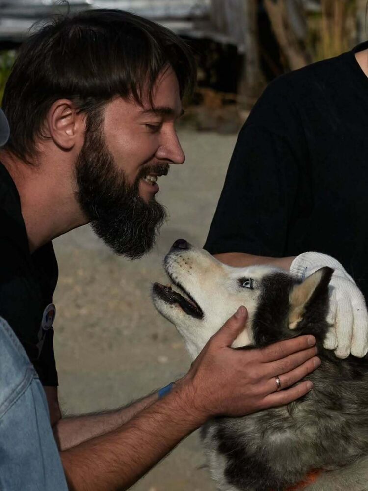 ���������� ������, ���� ������� �������, 41 ���, ������������ ��� ������, ����� � ���������, c�������� ���������