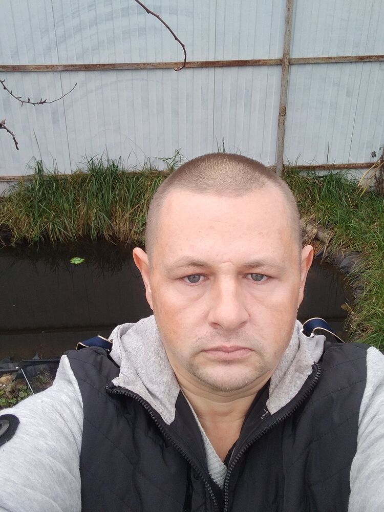  31646701  , 45 ,    