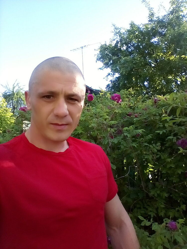  20625831  , 40 ,    