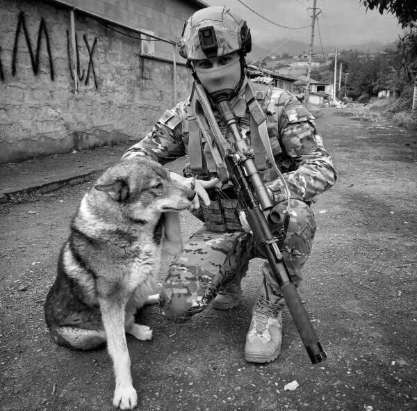 ���� 44435571 ������� �����, 29 ���, ���� ���������� � ����������