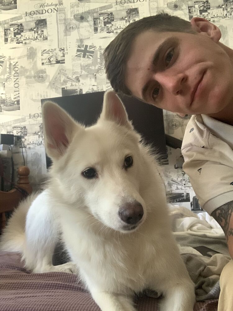 ���� 46224591 ������� ������, 27 ���, ���� ���������� � ������