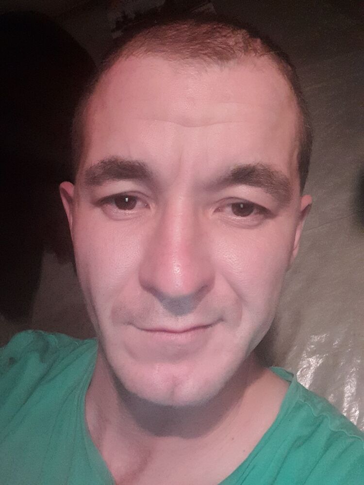  31468441  , 40 ,    -