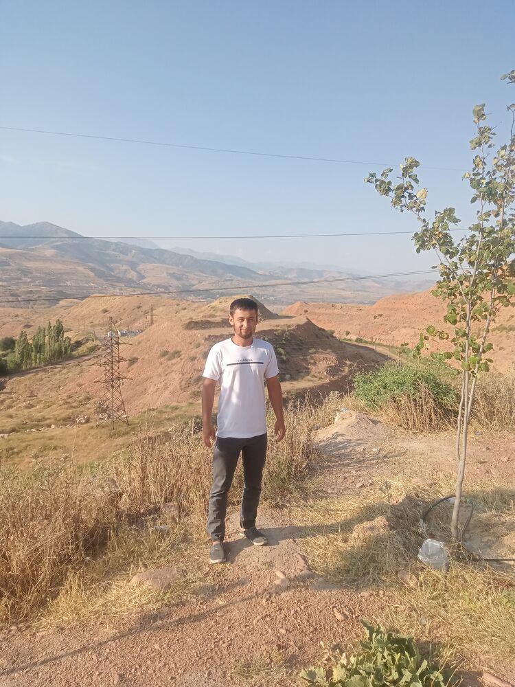 49524581  , 29 ,    