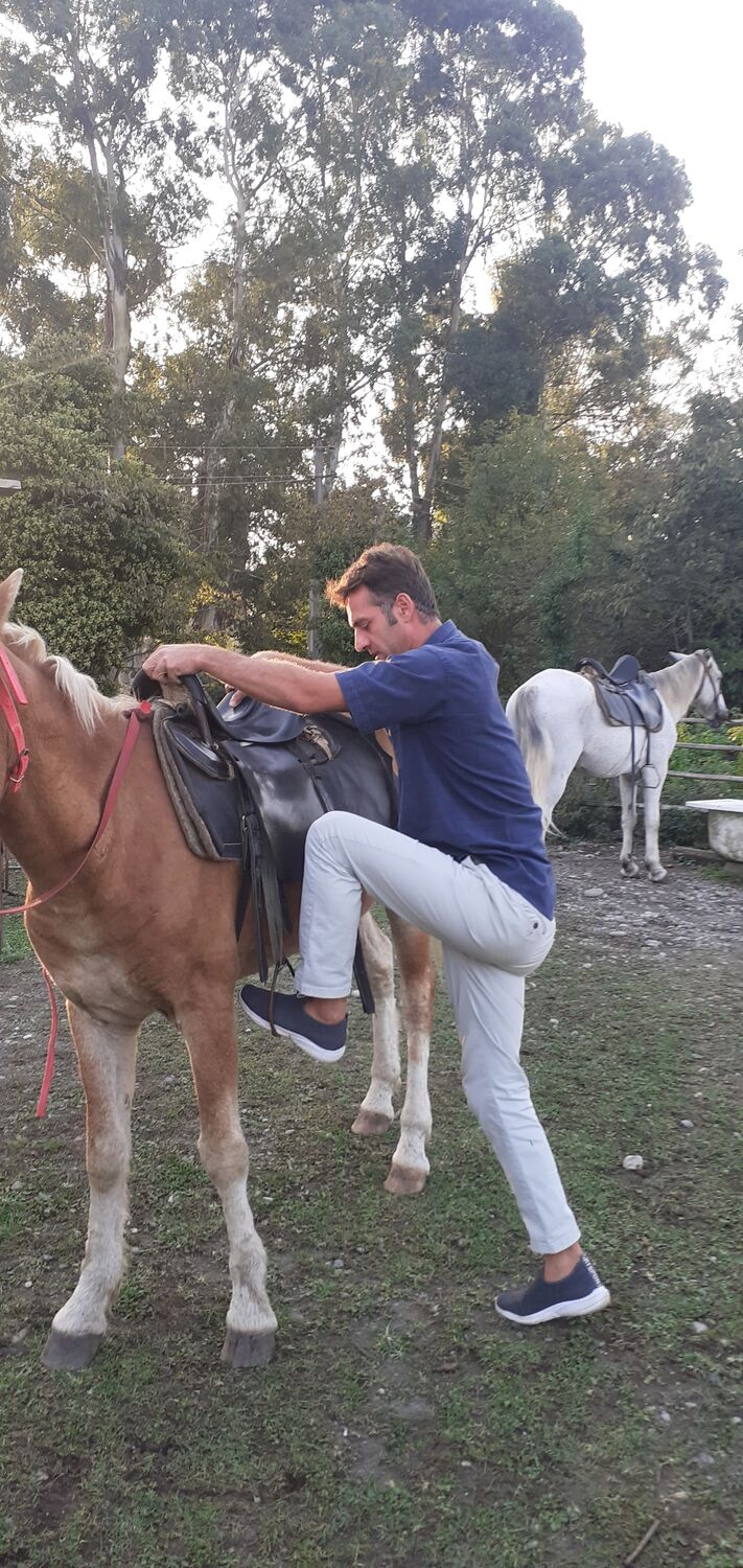 ���������� �������, ���� ������� ������� ����, 43 ����, ������������ ��� ������