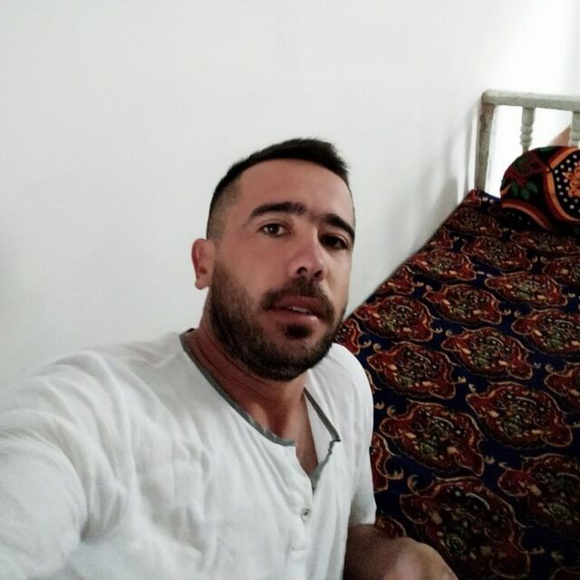  34017541  , 34 ,    