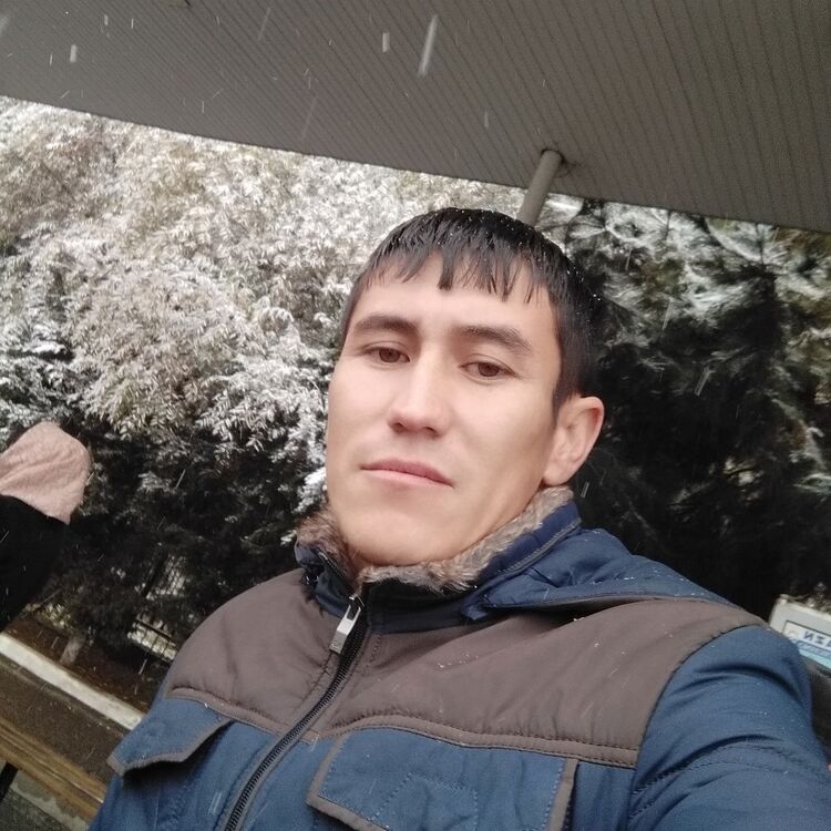 ���������� �������, ���� ������� Samandar, 34 ����, ������������ ��� ������, ����� � ���������, c�������� ���������