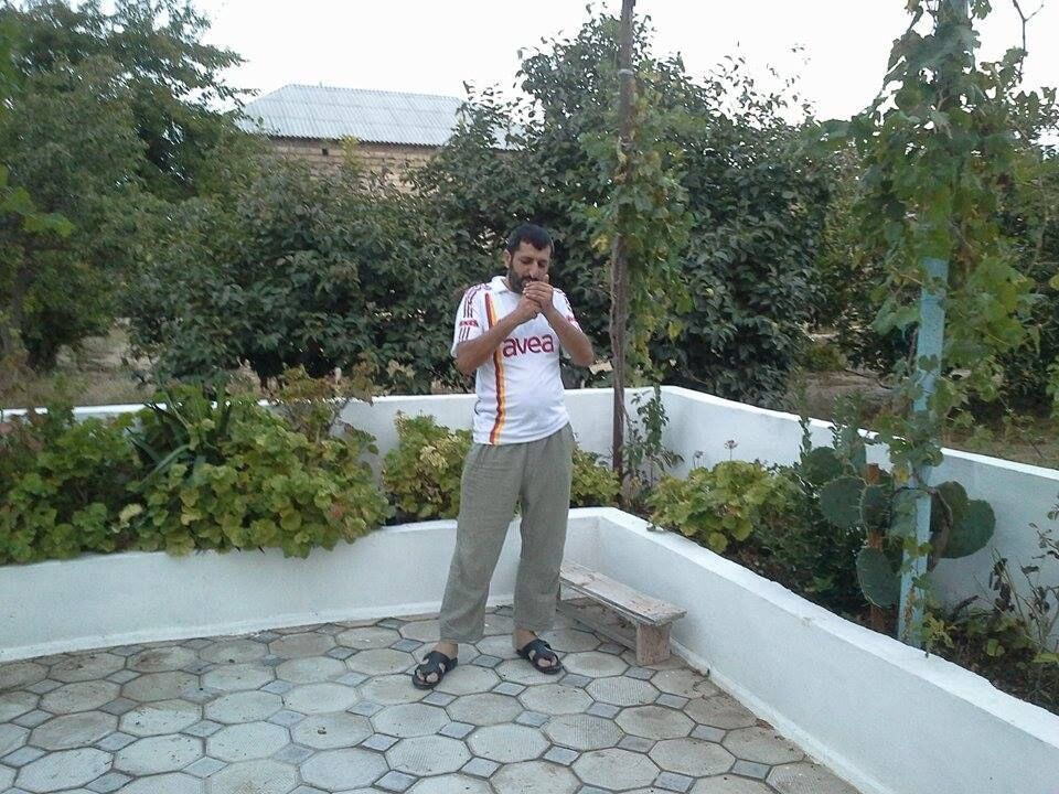  41028781  , 41 ,    
