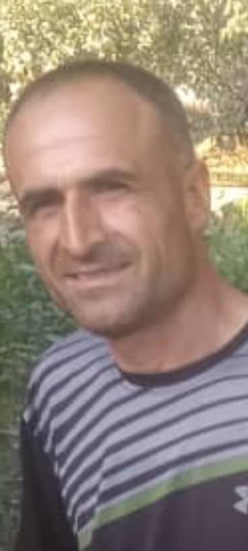  53595731  Fira, 37 ,    