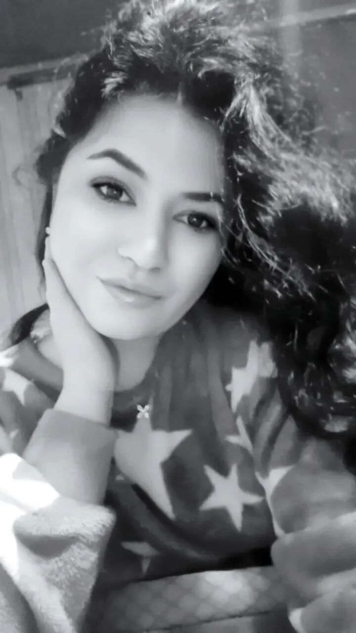 ���� 56388141 ������� ������, 24 ����, ���� ���������� � ��������