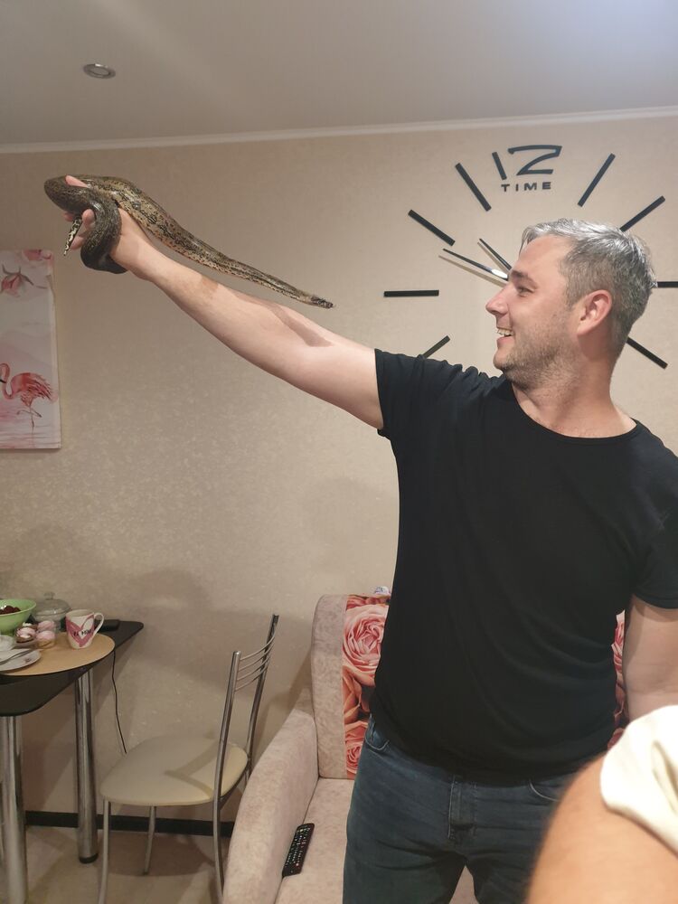  48326141  Vitaly, 34 ,    